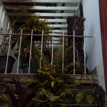 Hostel Mdemarilia Nova Friburgo Extérieur photo